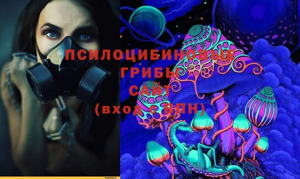 spice Верхний Тагил