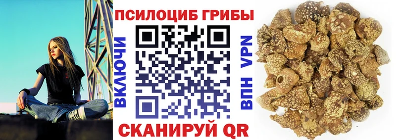 MEGA сайт  Глазов  Галлюциногенные грибы MAGIC MUSHROOMS  что такое  